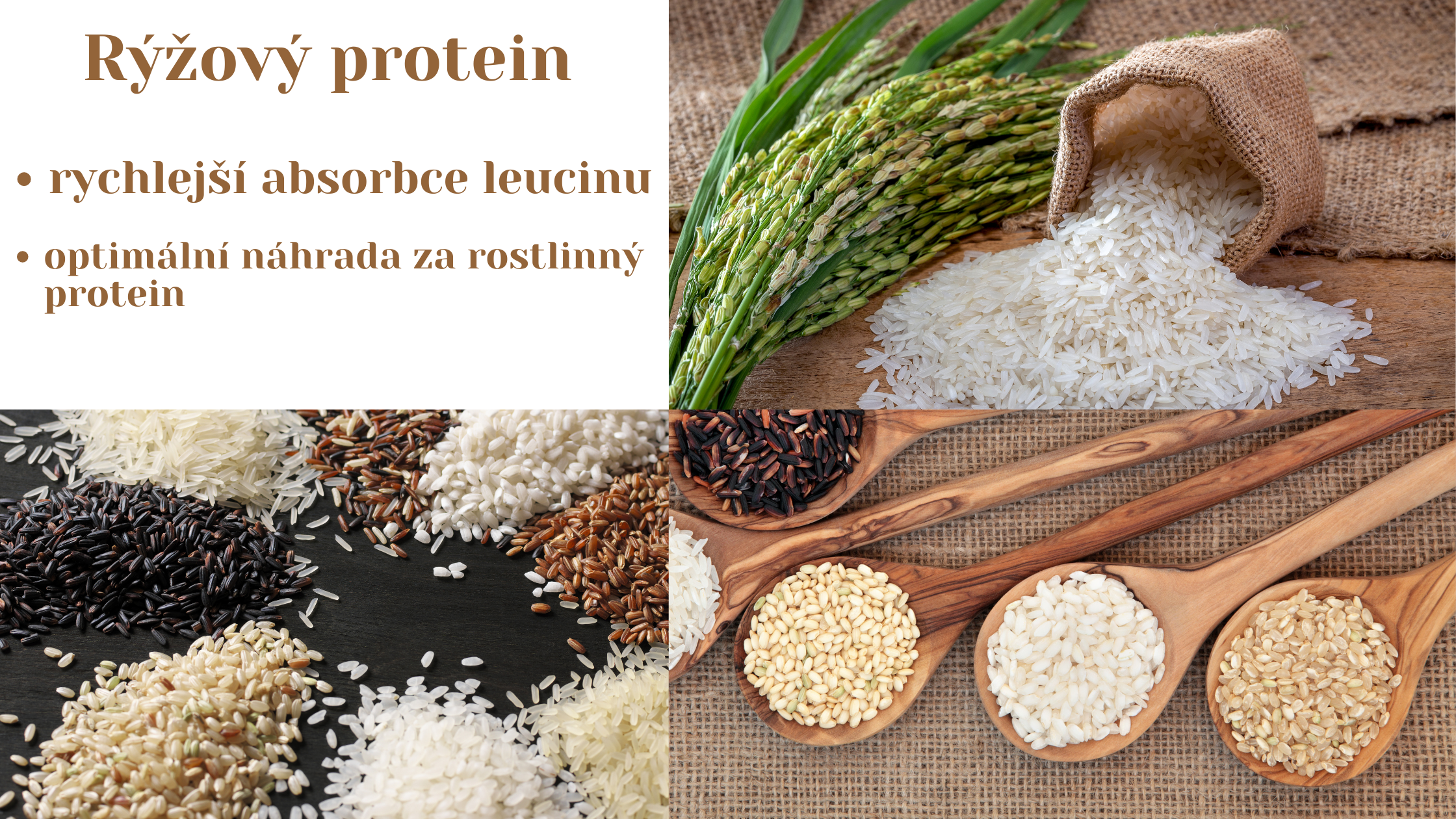 Rýžový protein vhodný pro vegany